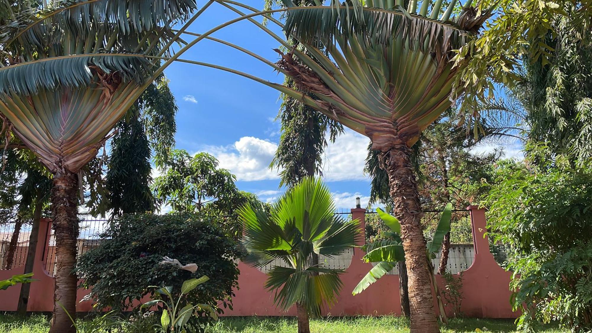 Bungalow X Garten & Terrasse X Wlan X Europaeisch Moshi Exteriör bild